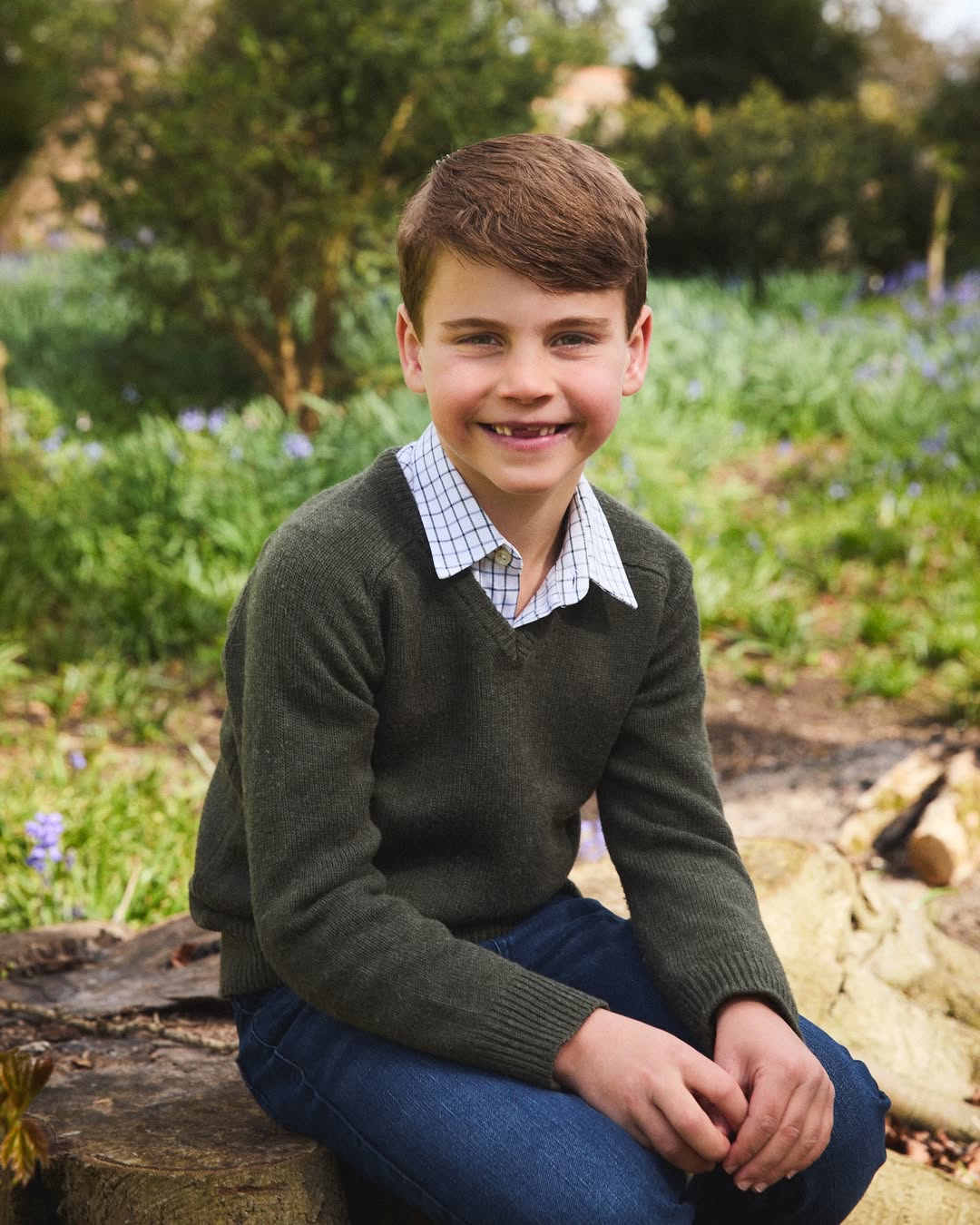 Buckingham Palace unveils new portrait of Princess Charlotte