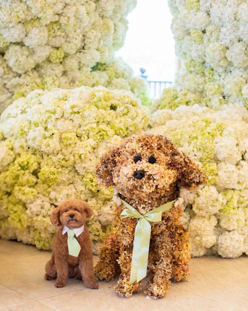 In freudiger Erwartung: Olivia Culpo feiert ein traumhaftes Babyshower-Fest