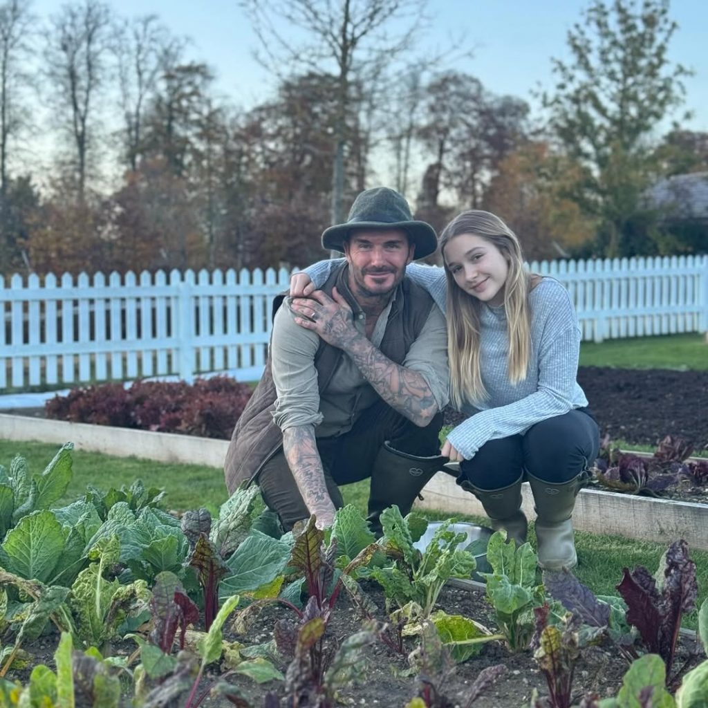 David Beckham wird Chefredakteur eines Magazins über das Landleben