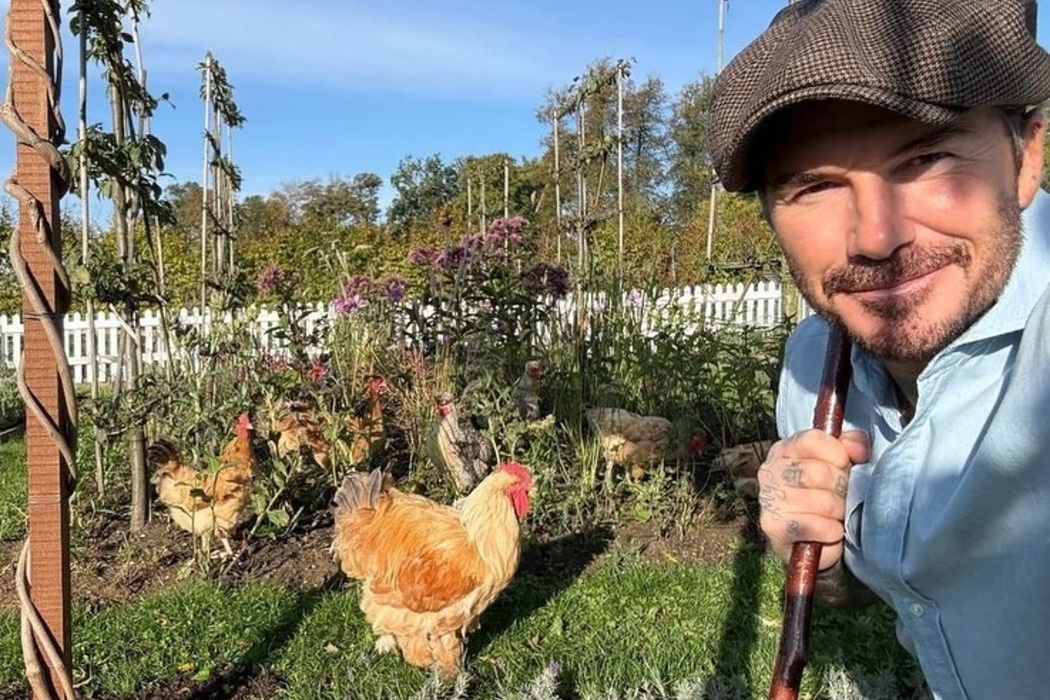 David Beckham wird Chefredakteur eines Magazins über das Landleben