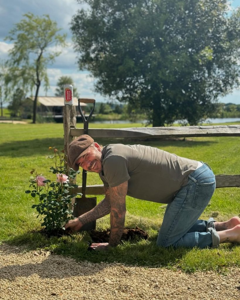 David Beckham wird Chefredakteur eines Magazins über das Landleben