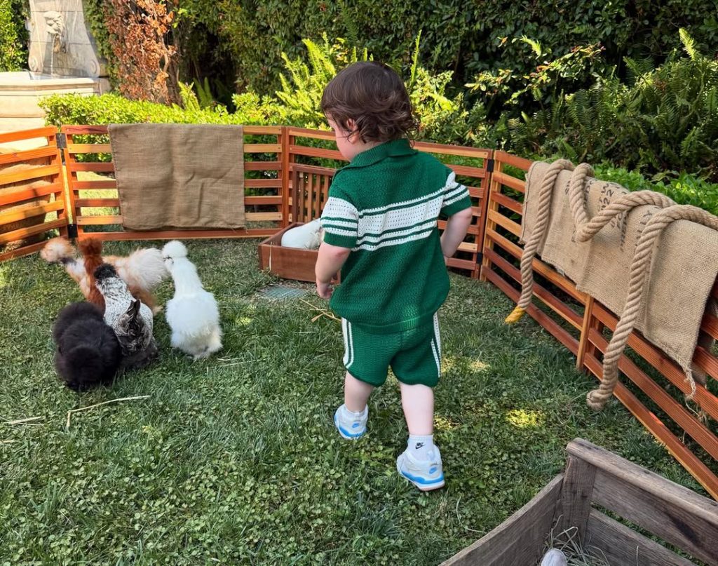 Dinosaur cake and a mini zoo: Lindsay Lohan celebrated her son’s second birthday
