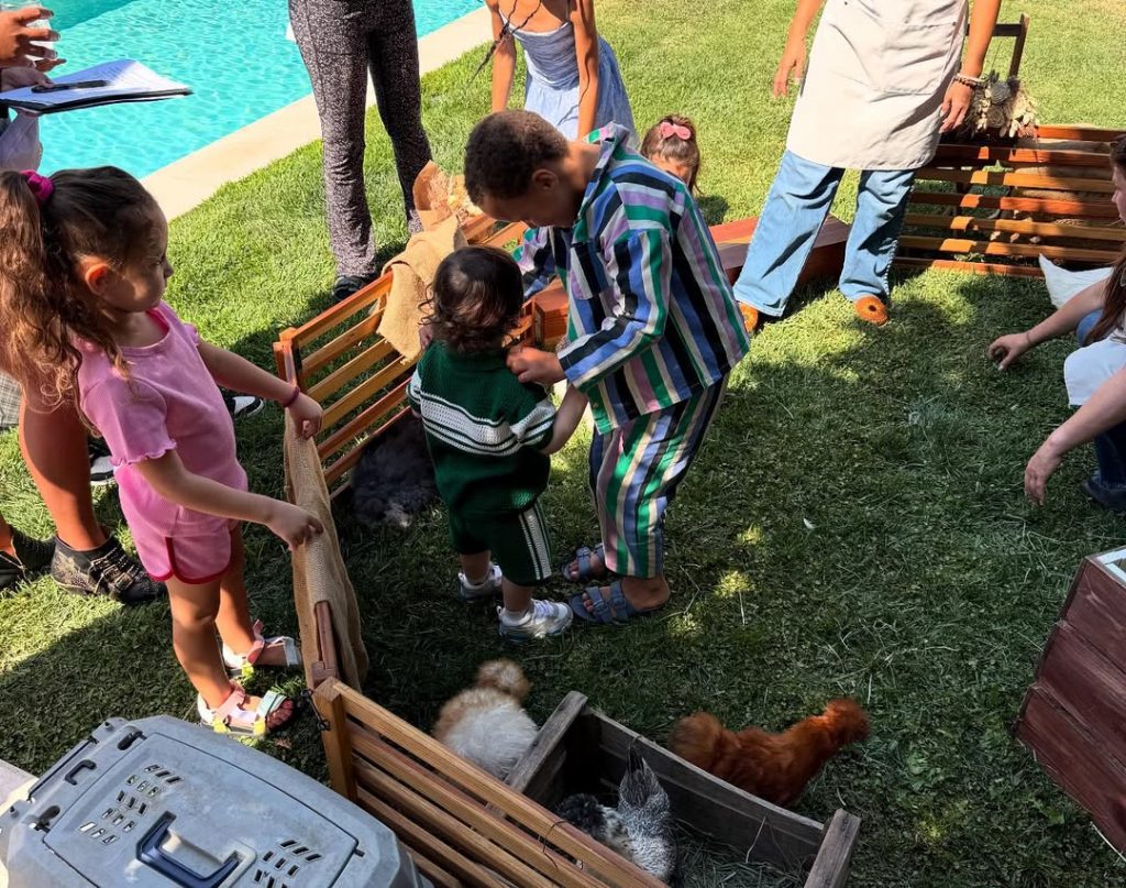 Dinosaur cake and a mini zoo: Lindsay Lohan celebrated her son’s second birthday