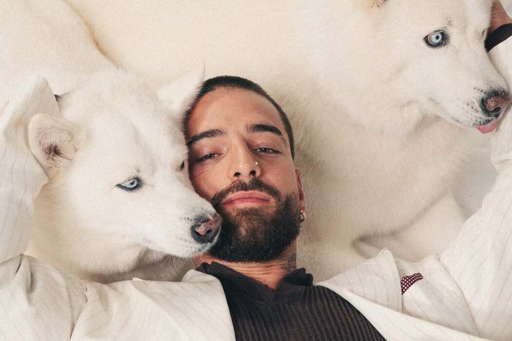 Die Hunde von Sabrina Carpenter, Maluma und Rosé zieren das Cover von DOGUE