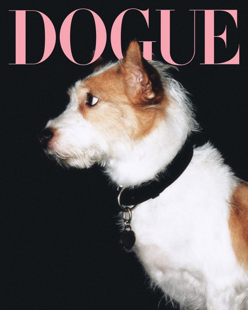 Sabrina Carpenter’s, Maluma’s, and Rosé’s Dogs Grace the Cover of DOGUE