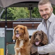 Wie David Beckham seine Ritterwürde mit der Familie feierte