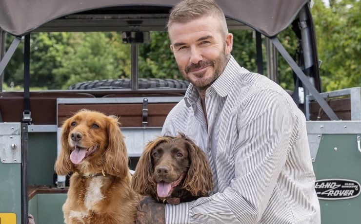 David Beckham in a Cozy Autumn Photoshoot for Country Life