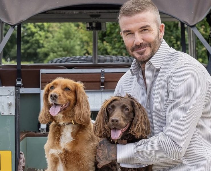 David Beckham in a Cozy Autumn Photoshoot for Country Life