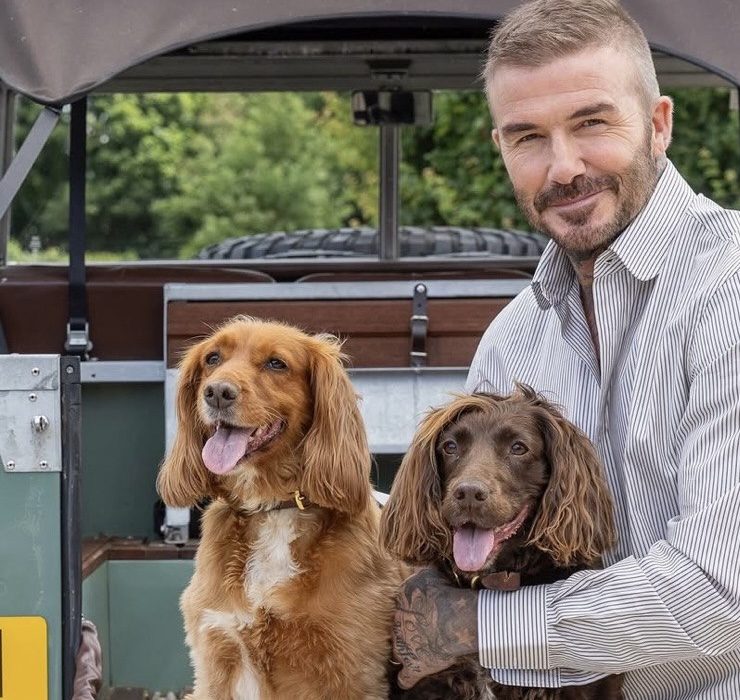 David Beckham in a Cozy Autumn Photoshoot for Country Life