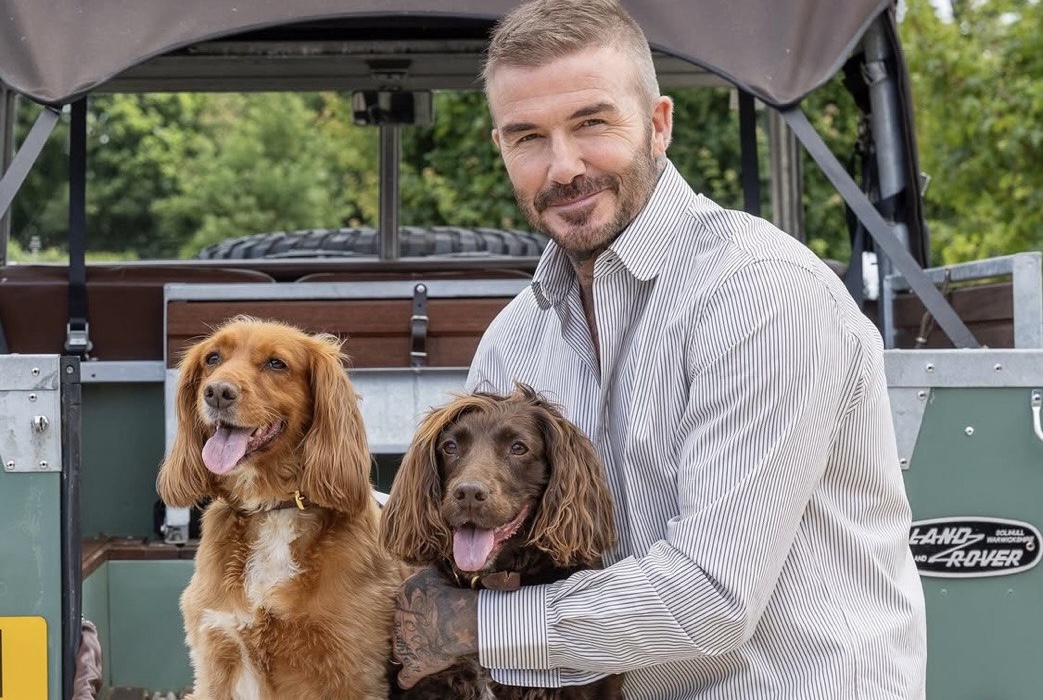 David Beckham in a Cozy Autumn Photoshoot for Country Life