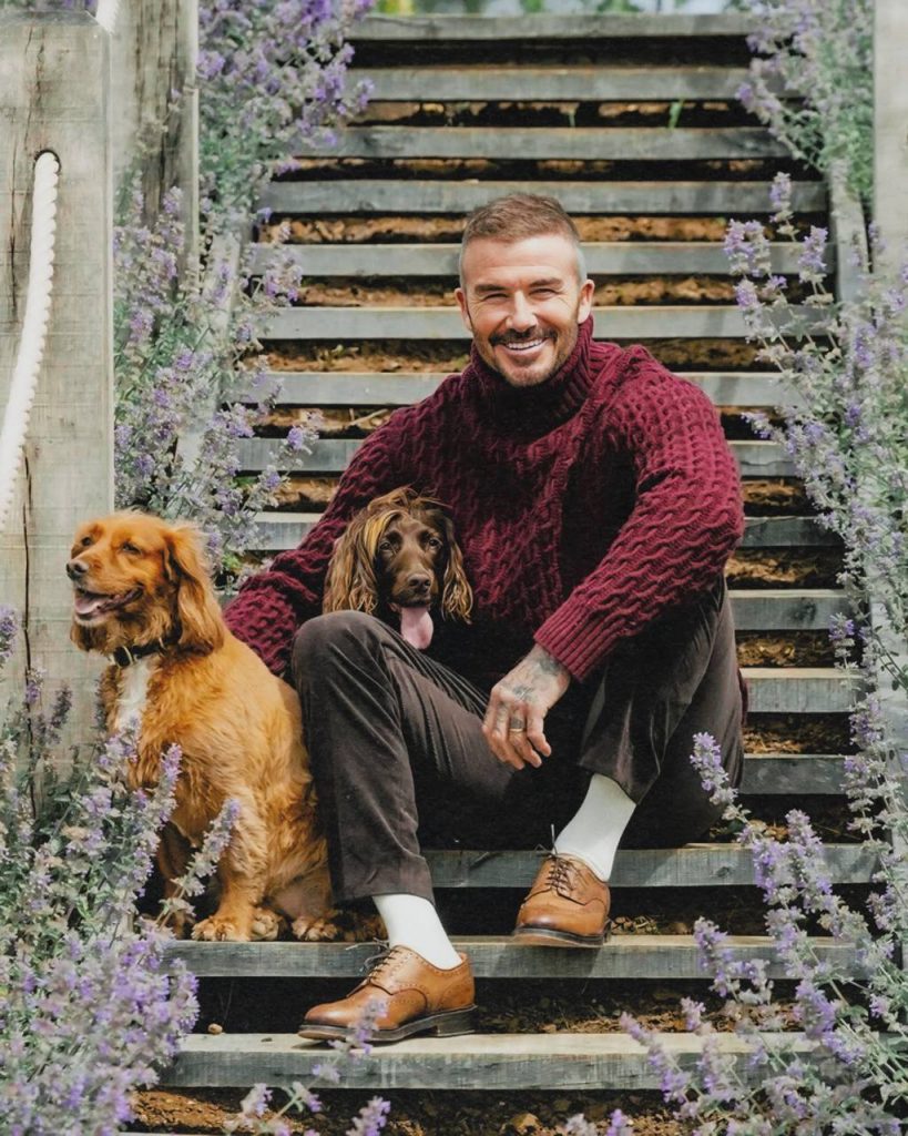 David Beckham in a Cozy Autumn Photoshoot for Country Life