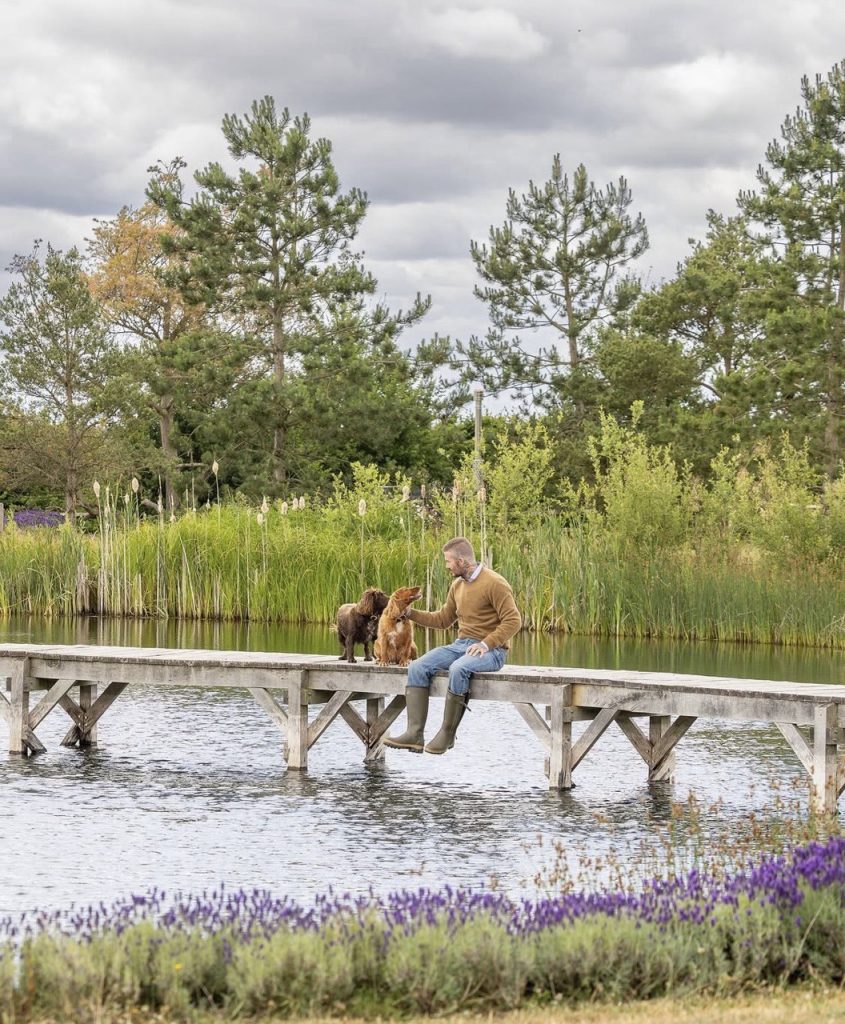 David Beckham in a Cozy Autumn Photoshoot for Country Life