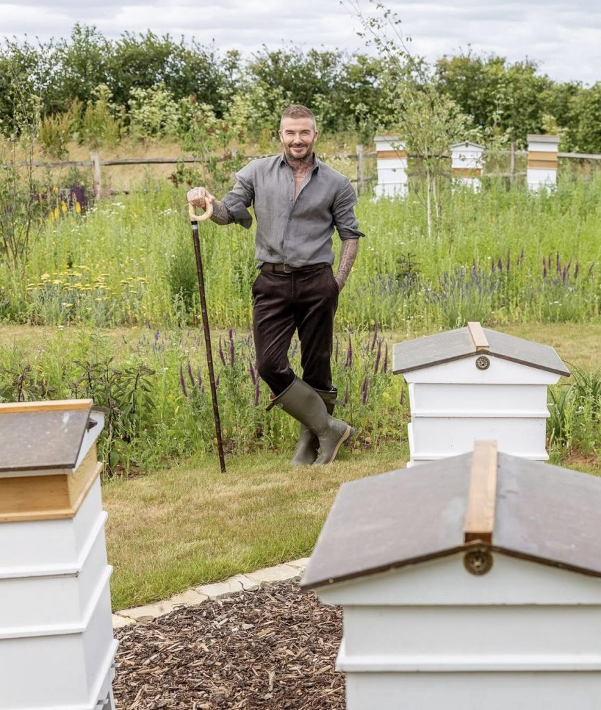 David Beckham in a Cozy Autumn Photoshoot for Country Life