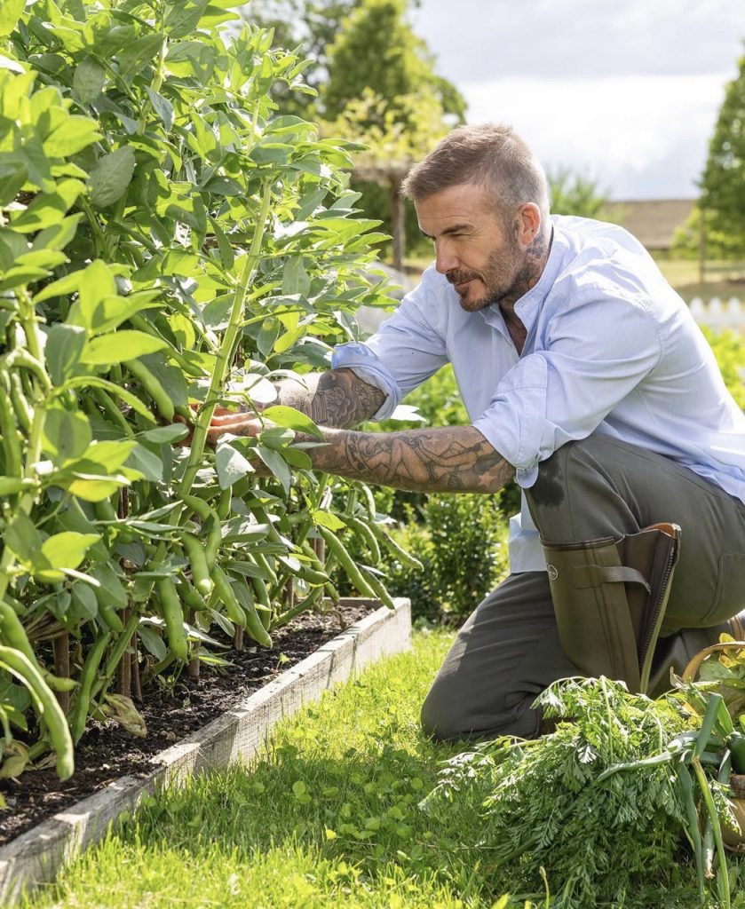 David Beckham in a Cozy Autumn Photoshoot for Country Life