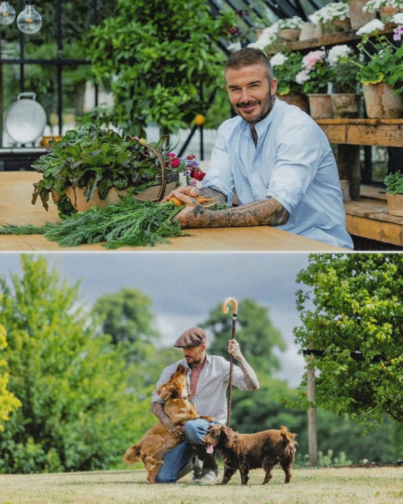 David Beckham in a Cozy Autumn Photoshoot for Country Life