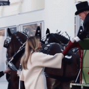 83 Christmas Trees and 28,000 Ornaments: A Closer Look at the White House Holiday Decorations