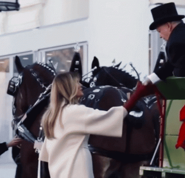 Melania Trump receives the White House Christmas Tree: a closer look at the photos