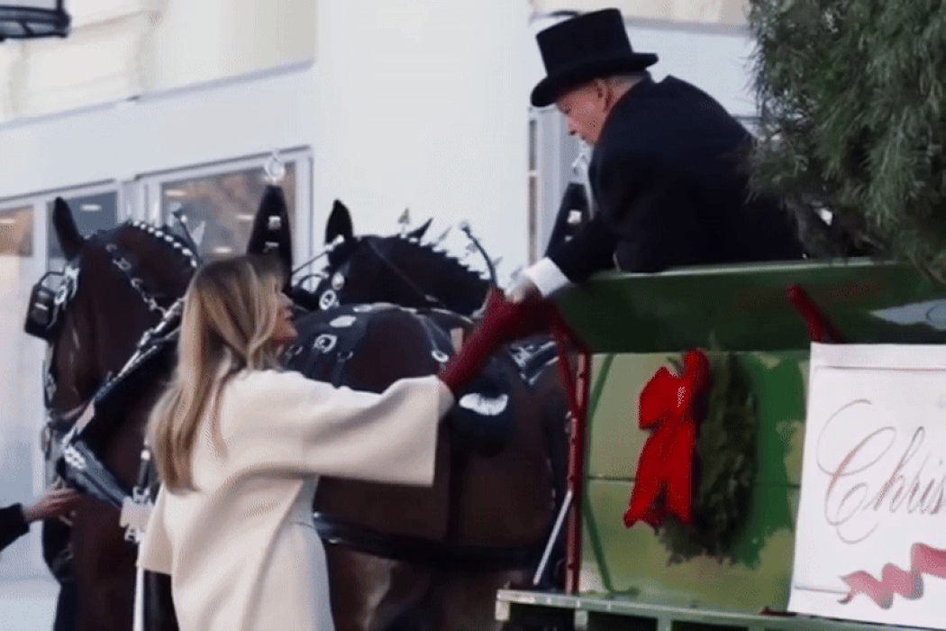 Melania Trump empfängt den Weihnachtsbaum: ein Blick auf die Fotos