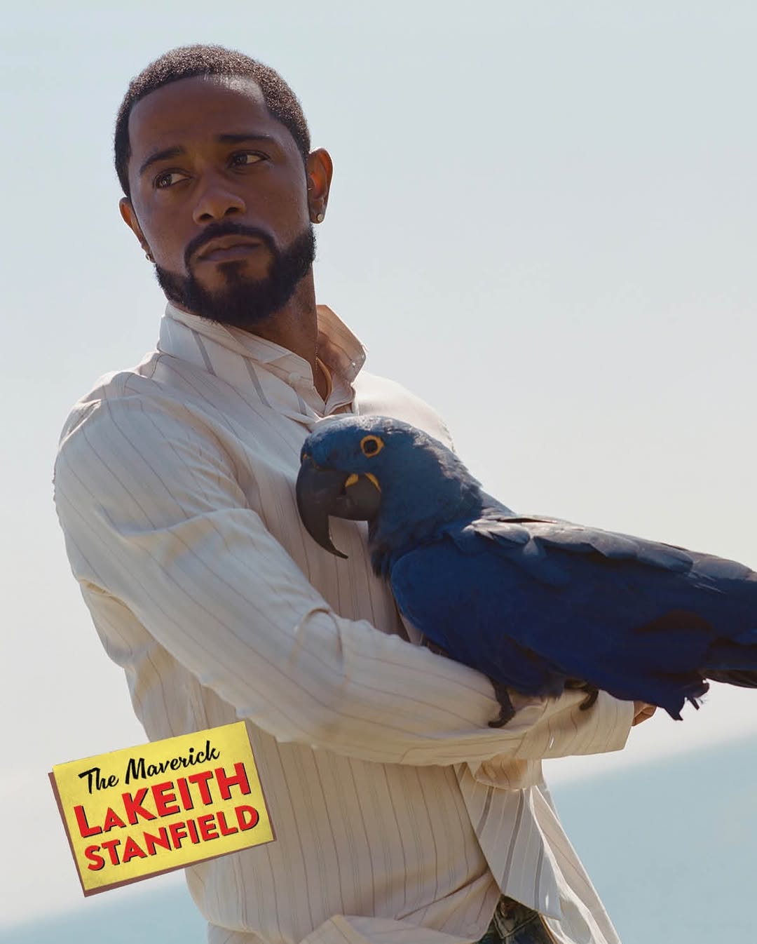 Hollywood’s leading men in the new issue of Vanity Fair