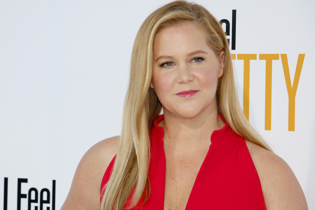 Amy Schumer divorces her husband after seven years of marriage