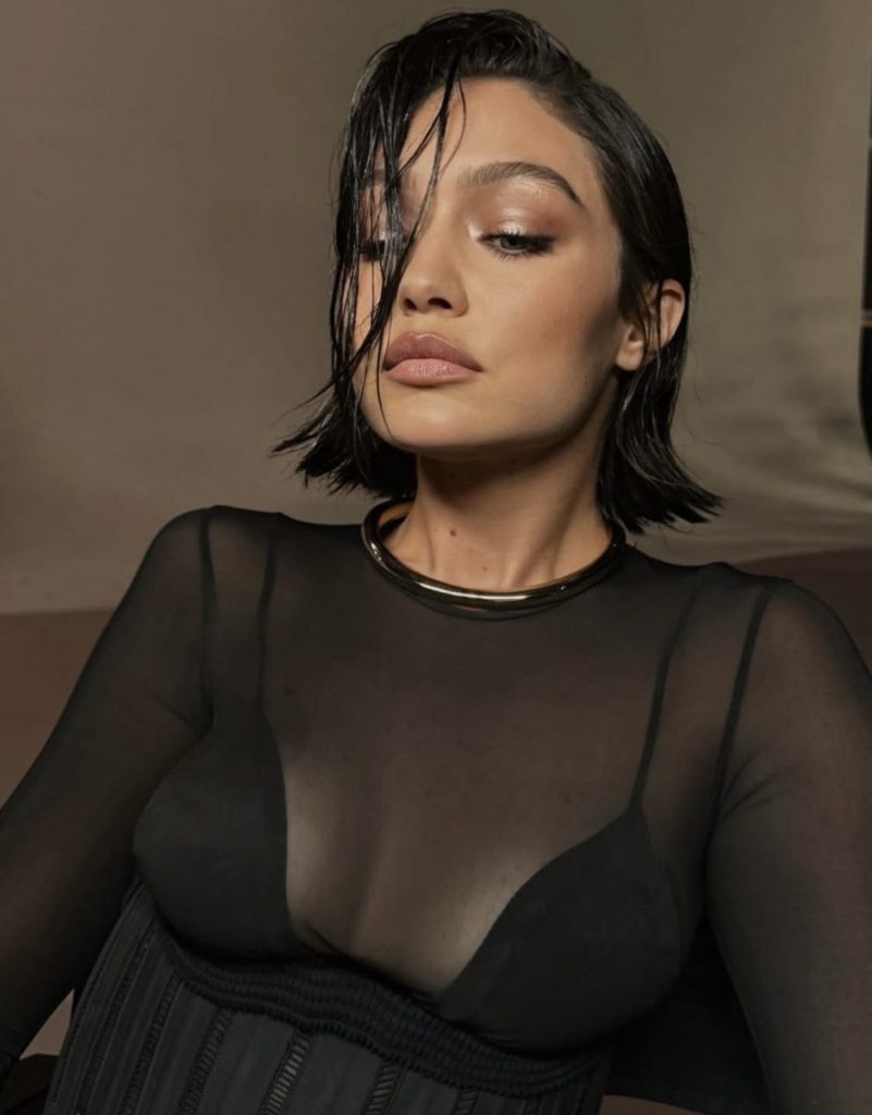 Hot or Not? Gigi Hadid Goes Brunette