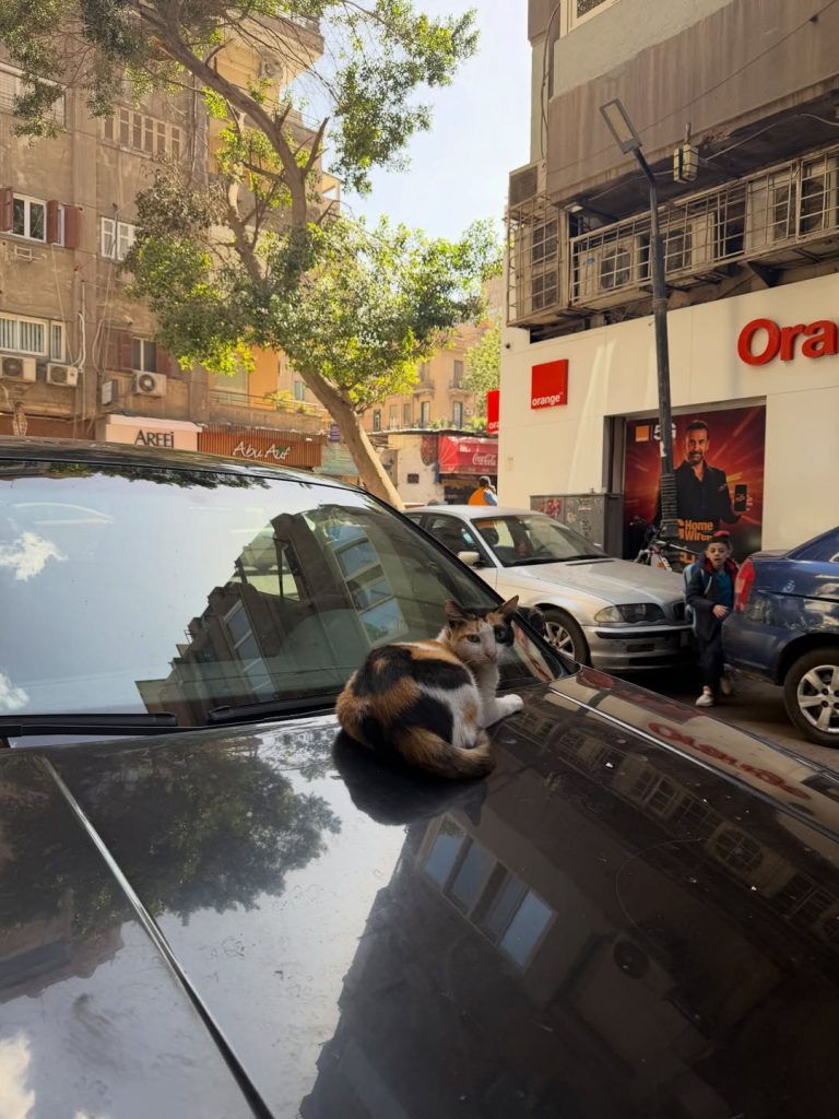 Familienurlaub: Amira Aly mit ihren S&ouml;hnen in &Auml;gypten