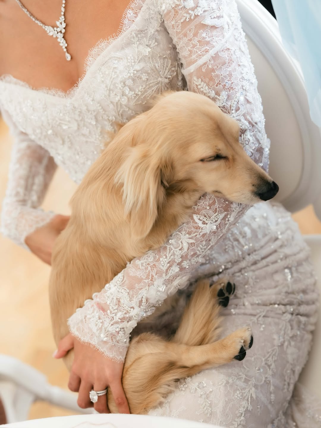 Der Formel-1-Star Charles Leclerc hat geheiratet: Ein Blick auf die Hochzeitsfotos