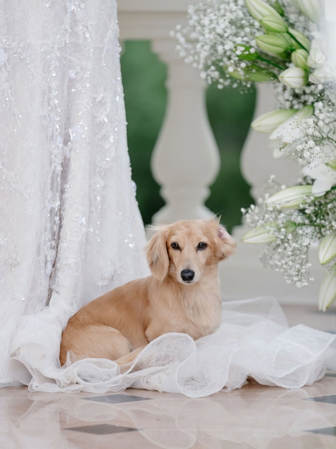 Der Formel-1-Star Charles Leclerc hat geheiratet: Ein Blick auf die Hochzeitsfotos
