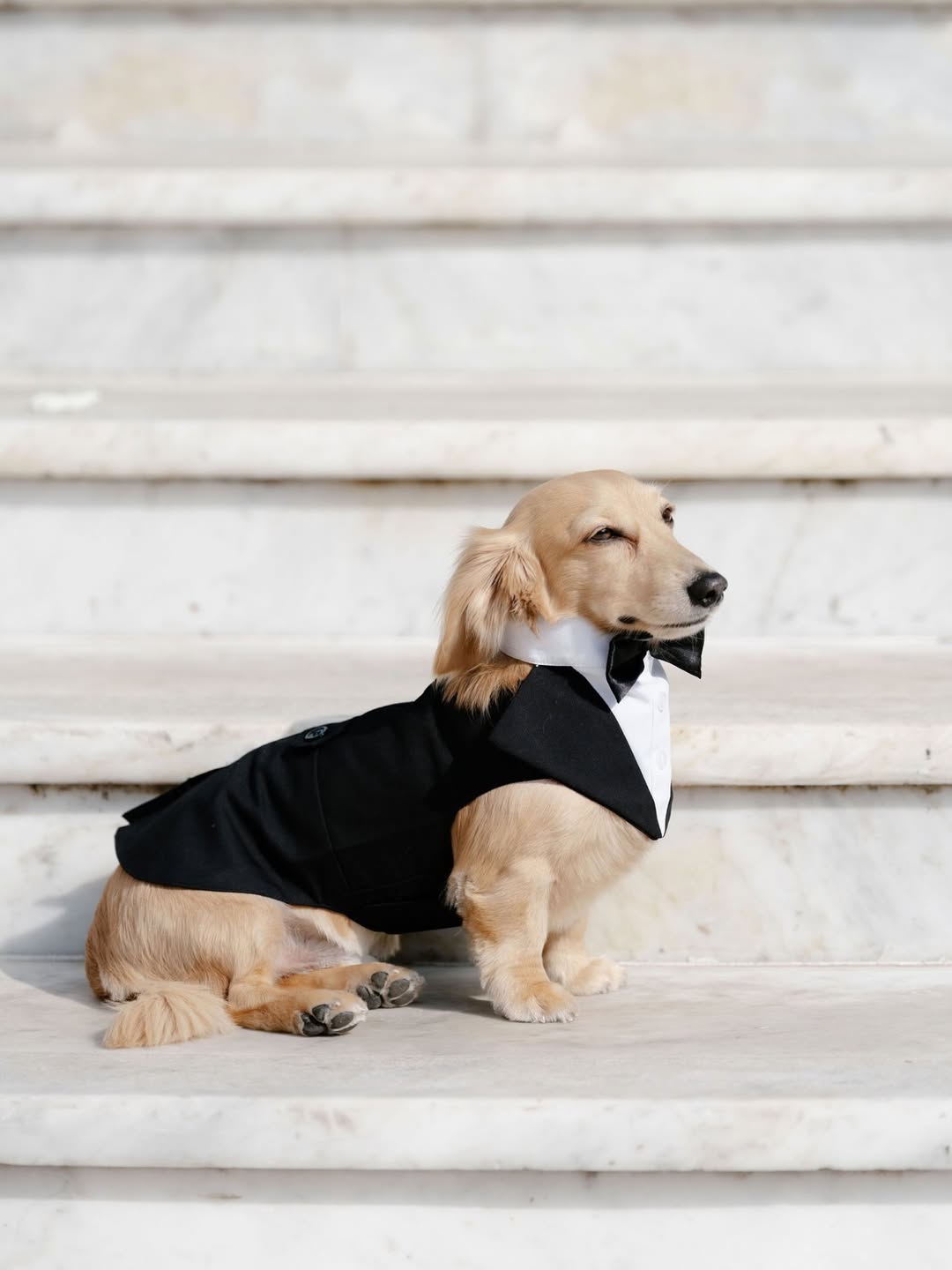 Der Formel-1-Star Charles Leclerc hat geheiratet: Ein Blick auf die Hochzeitsfotos