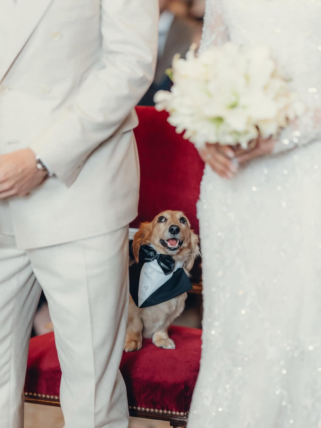 Der Formel-1-Star Charles Leclerc hat geheiratet: Ein Blick auf die Hochzeitsfotos