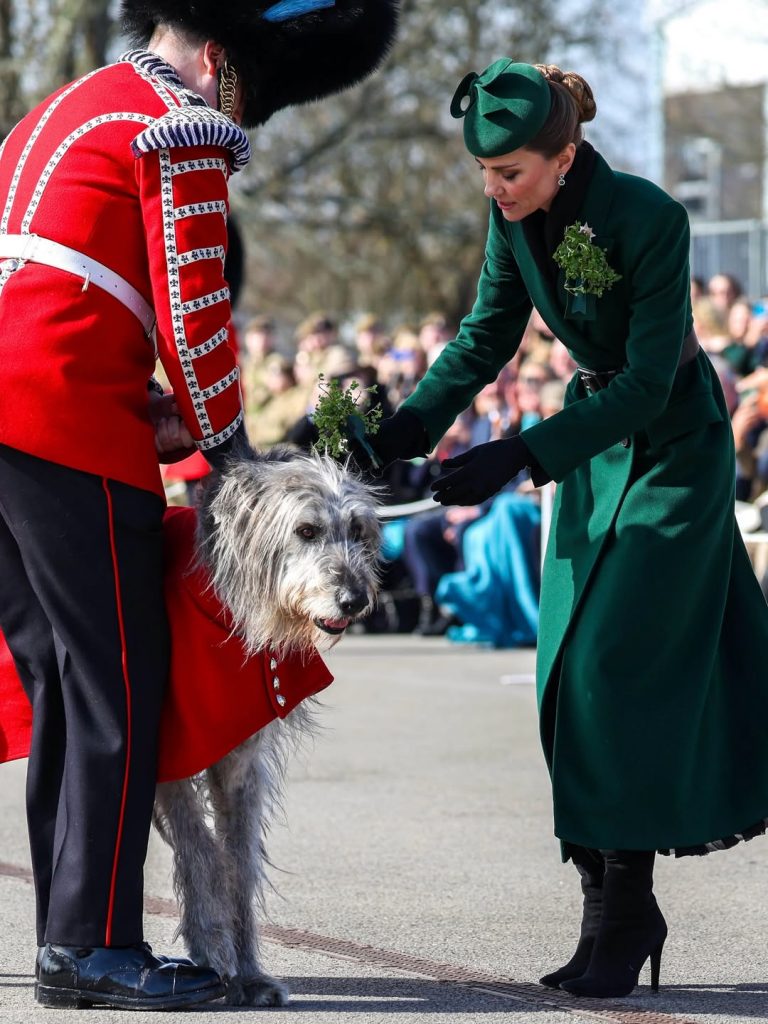 Catherine, Princess of Wales bei den Feierlichkeiten zum St. Patrick&rsquo;s Day in Hampshire