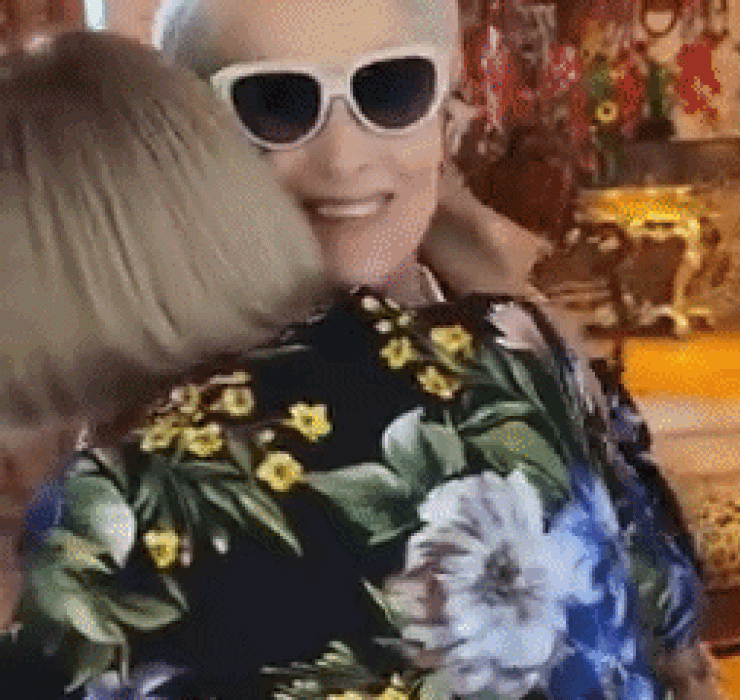 Meryl Streep and Anna Wintour turn out to be relatives
