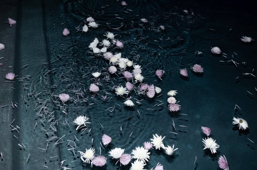 Wie Anya Taylor-Joy ihren 30. Geburtstag feierte