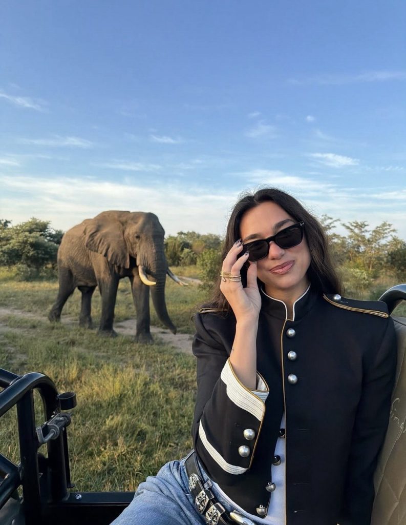 Eine romantische Safari von Dua Lipa und Callum Turner in South Africa