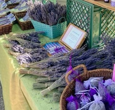 Der Duft der Provence in Wien: Im gr&ouml;&szlig;ten Blumengarten der Stadt findet das Lavendelfestival statt