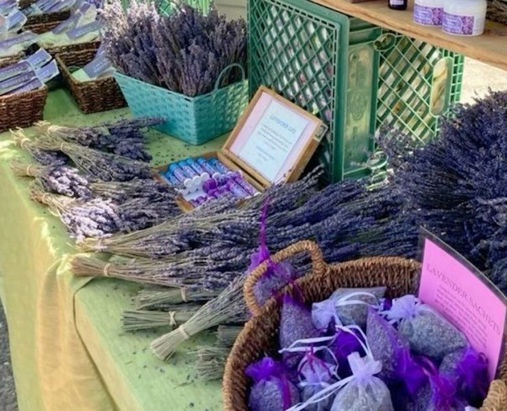 lavender
