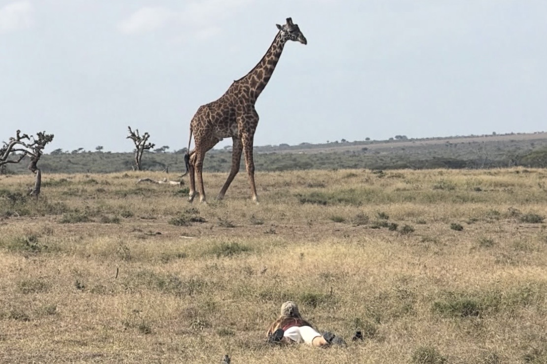 &laquo;Das Abenteuer meines Lebens&raquo;: Elsa Pataky feierte ihren runden Geburtstag auf Safari