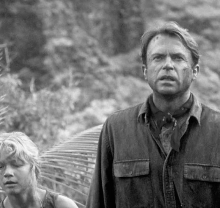 &laquo;Jurassic Park&raquo;-Star Sam Neill im Alter von 78 Jahren verstorben
