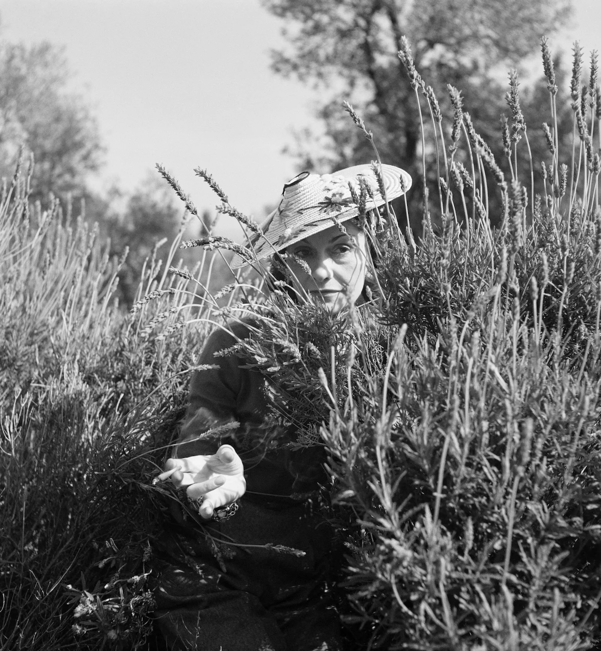 Lavendel, Iris und 800 Jahre alte Olivenb&auml;ume: Chanel zeigt die restaurierte Residenz von Coco Chanel