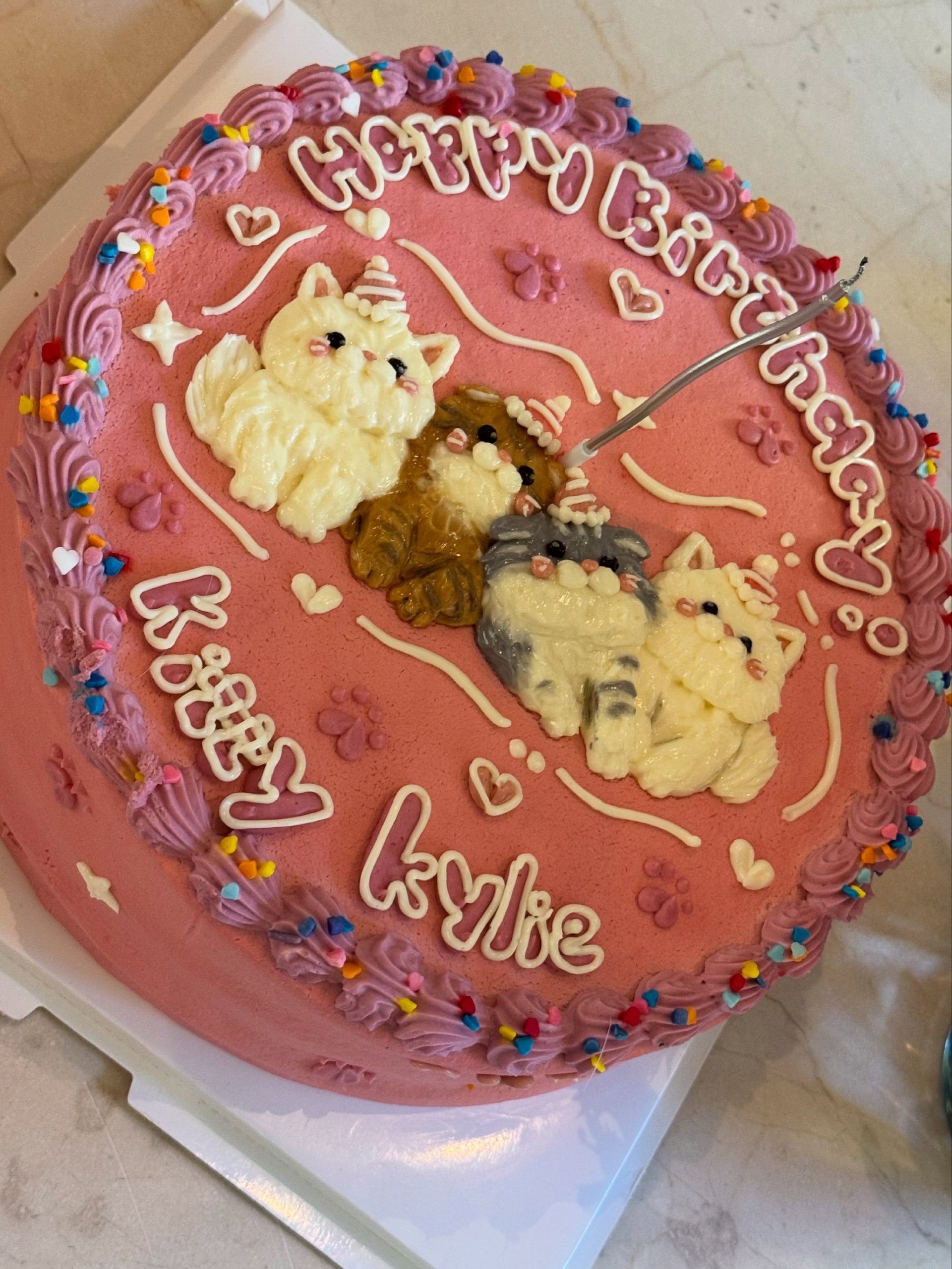 Pink Party: So feierte Kylie Jenner ihren 29. Geburtstag