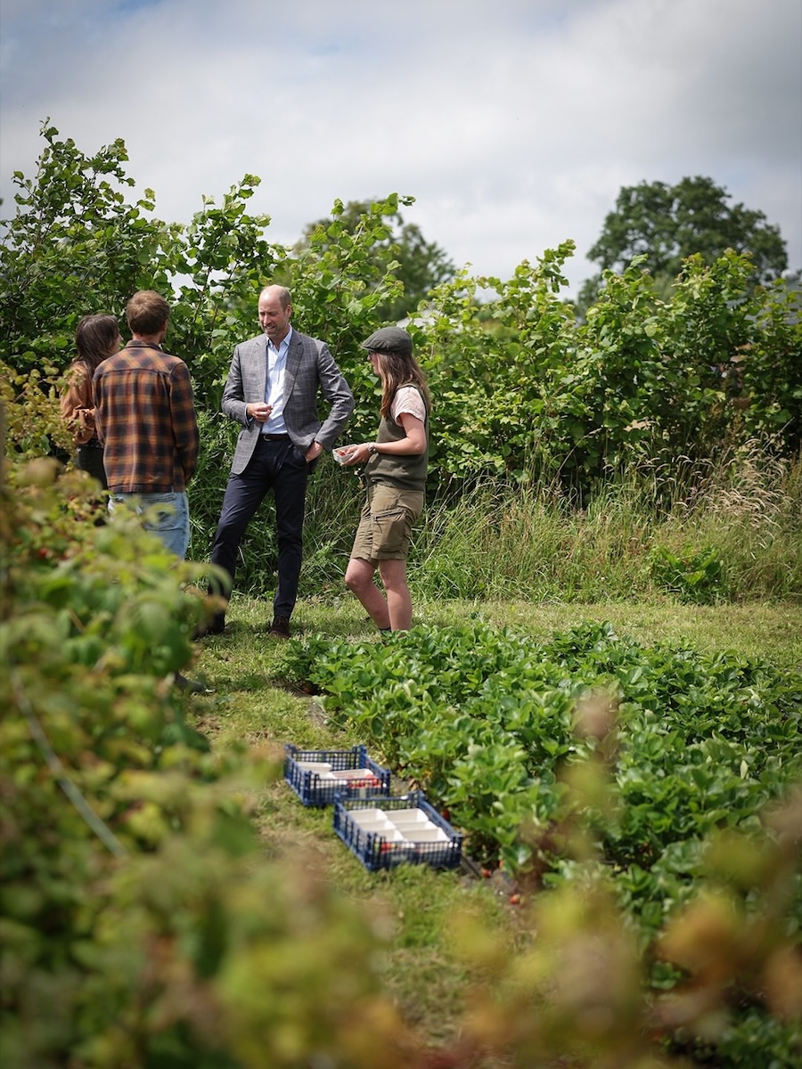 Prinz William wird Gastredakteur des britischen Magazins Country Life